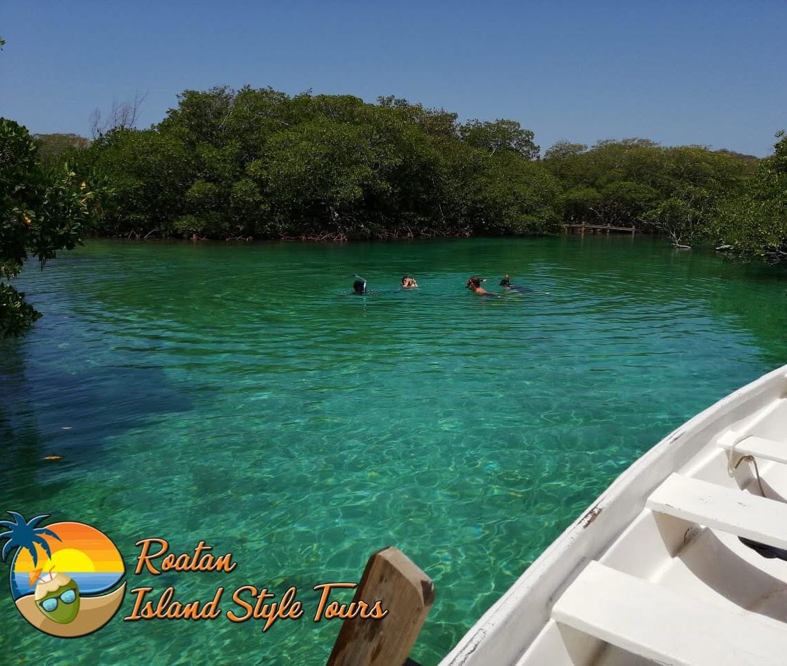 East End Mangroves - Swimming Hole