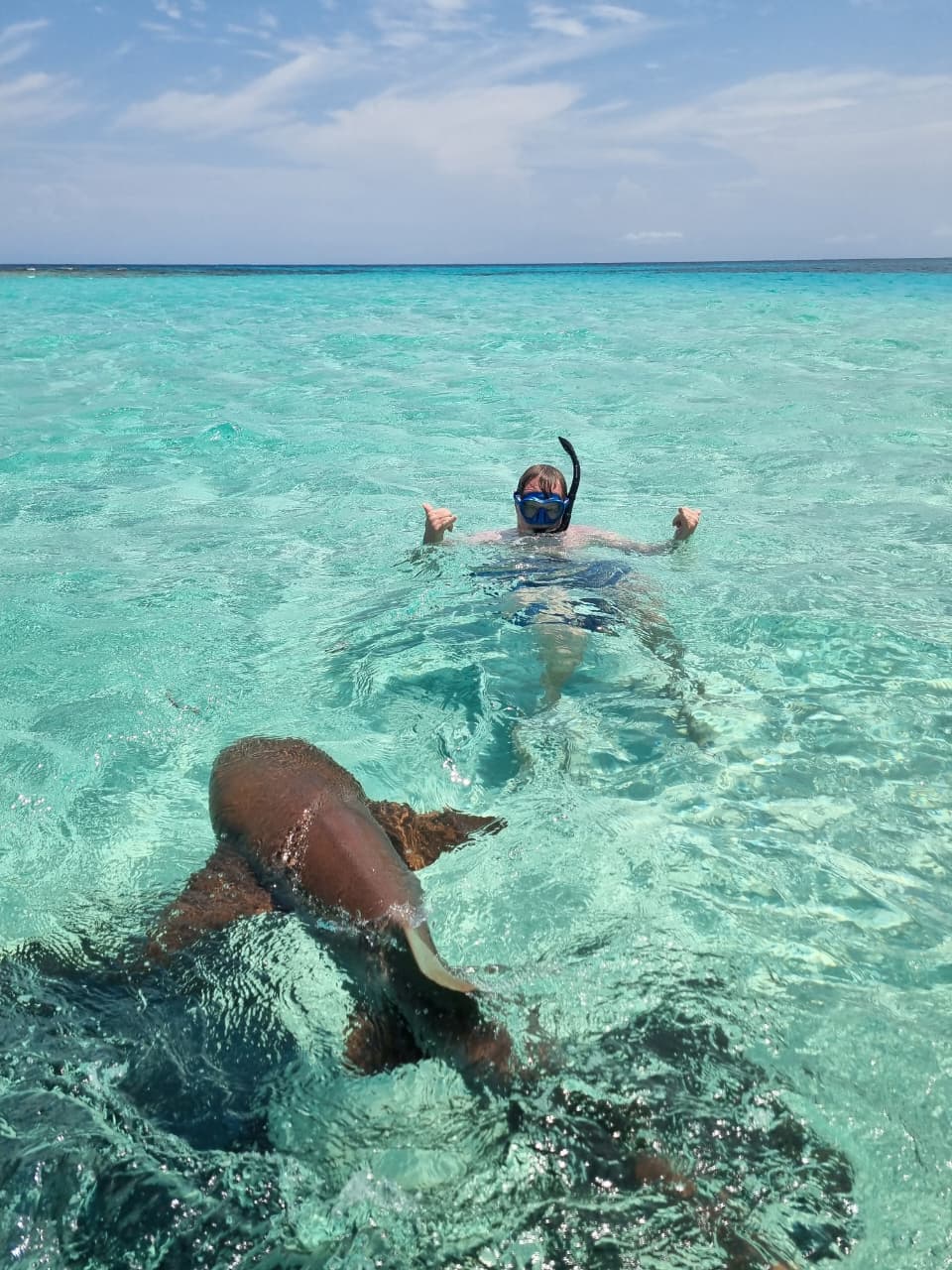 The East End Experience - Snorkeling
