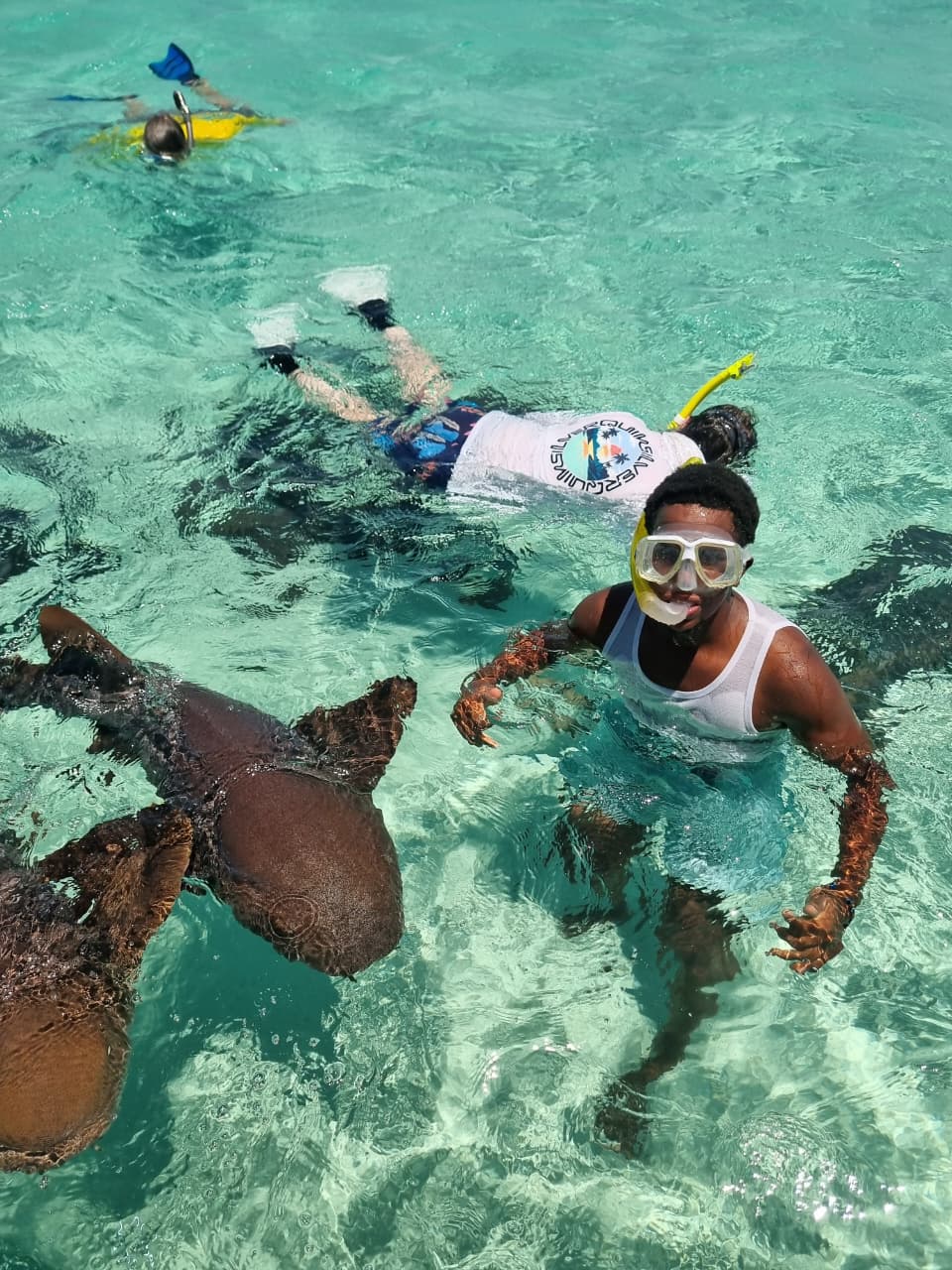 Pigeon Cay Nurse Sharks Experience