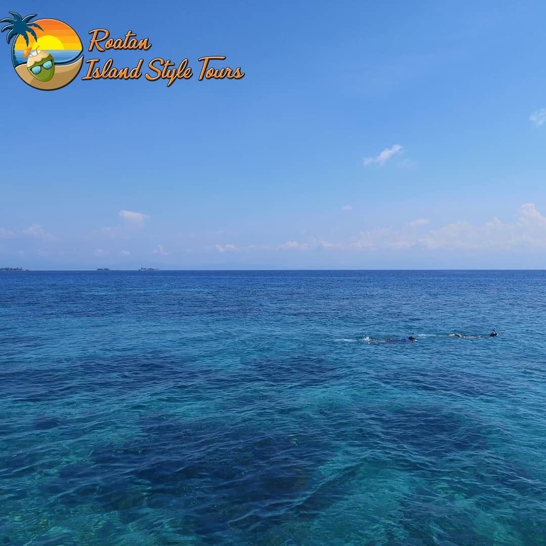 Clear Ocean Boat Tour